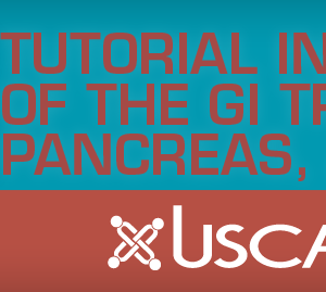 USCAP Tutorial in Pathology of the GI Tract, Pancreas and Liver 2019