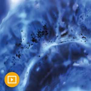 Oakstone Molecular Diagnostics Cancer Diagnosis and Patient Management 2021