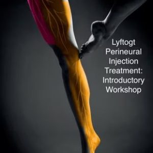 Lyftogt Perineural Injection Treatment Introductory Workshop 2019