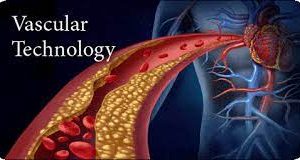Pegasus Vascular Technology Review 2022