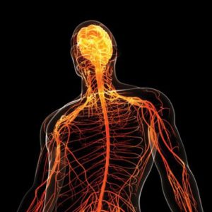 Oakstone Comprehensive Review of Neurology 2021