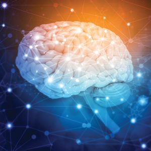 Oakstone Psychopharmacology for Primary Care Physicians 2024