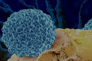 The University of Texas MD Anderson Cancer Center IOTOX Clinical Education Symposium 2023