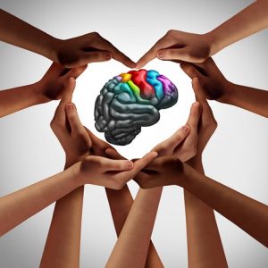 Mayo Clinic Neurology in Clinical Practice Online Course 2023