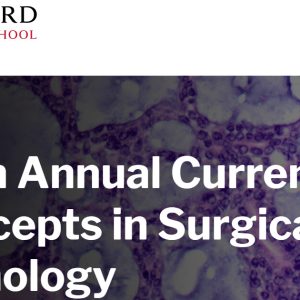 Harvard 45th Annual Current Concepts in Surgical Pathology 2024