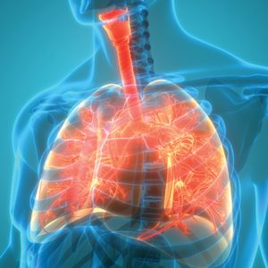 Oakstone The Brigham Board Review in Pulmonary Medicine 2025