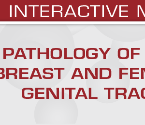 USCAP Pathology of the Breast and Female Genital Tract 2025