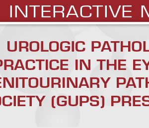 USCAP Urologic Pathology Practice in the Eyes of Genitourinary Pathology Society (GUPS) Presidents 2025