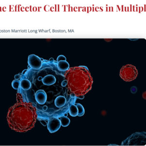 International Myeloma Society 6th Immune Effector Cell Therapies in Multiple Myeloma Workshop 2025