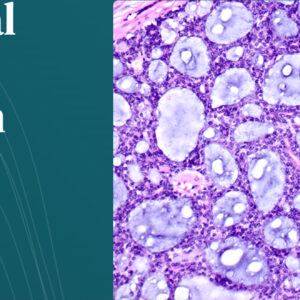 Harvard 46th Annual Current Concepts in Surgical Pathology 2025