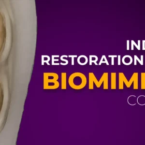 OHI-S Indirect Restoration in the Biomimetic Concept