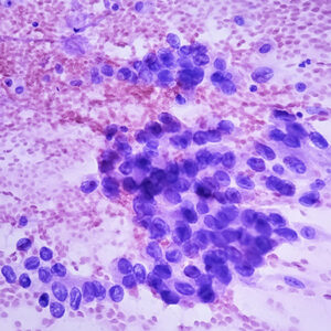 Oakstone Cytopathology 2026