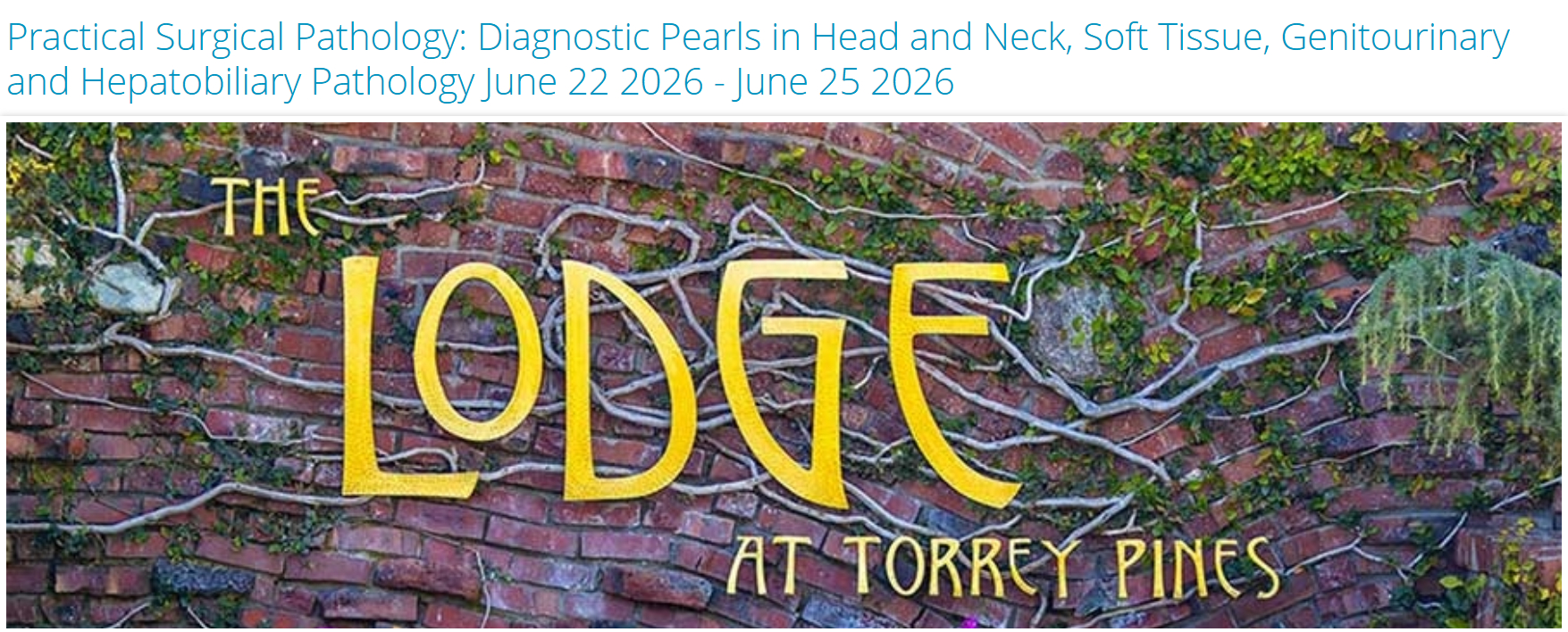 Scientific Symposiums International Practical Surgical Pathology Diagnostic Pearls in Head and Neck, Soft Tissue, Genitourinary and Hepatobiliary Pathology 2026