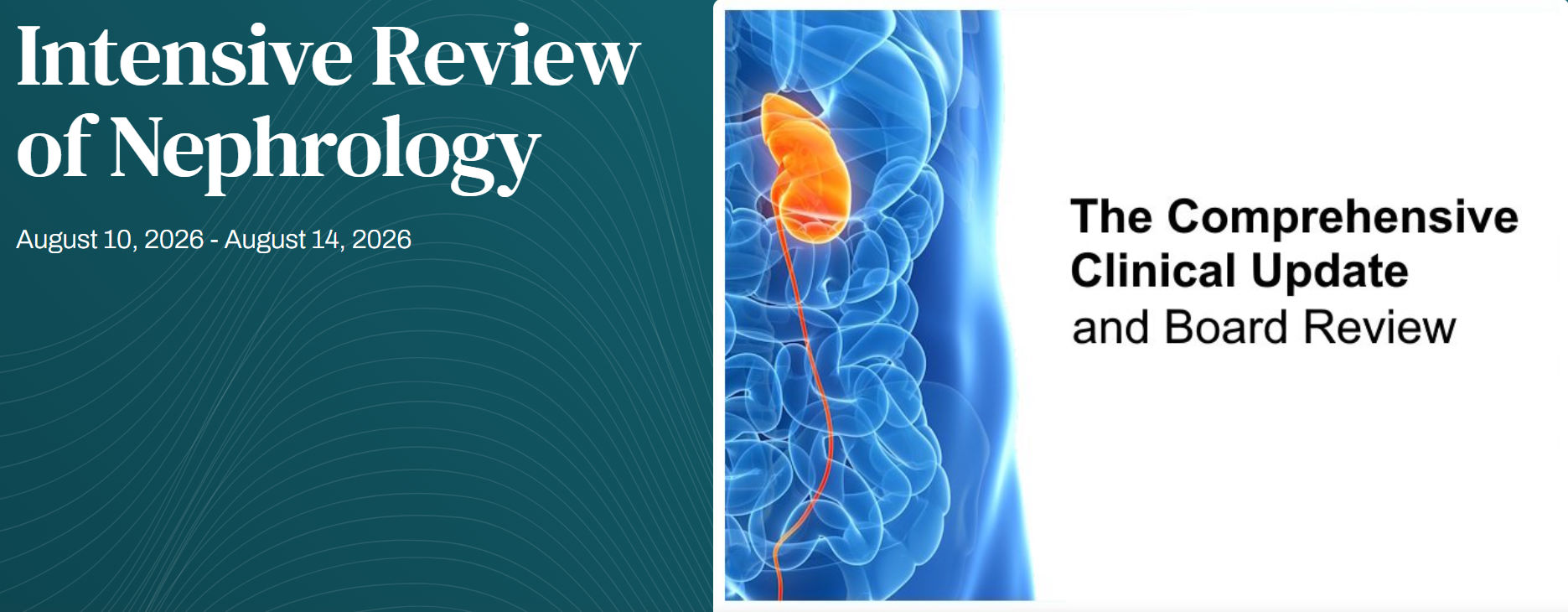 Harvard Intensive Review of Nephrology 2026