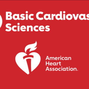 American Heart Association Basic Cardiovascular Sciences OnDemand 2026