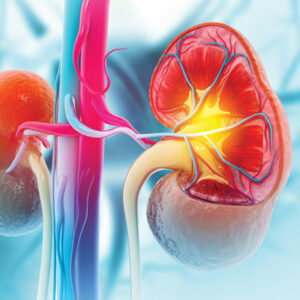 Oakstone Intensive Review of Nephrology 2026